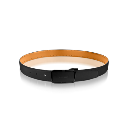 Reversible Belt