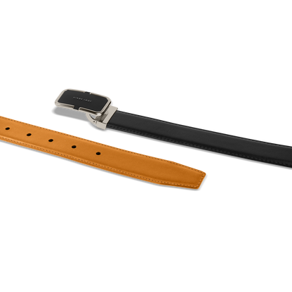 Reversible Belt