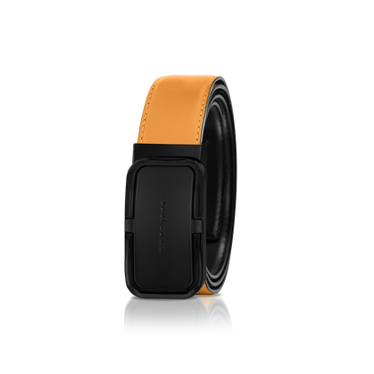 Reversible Belt