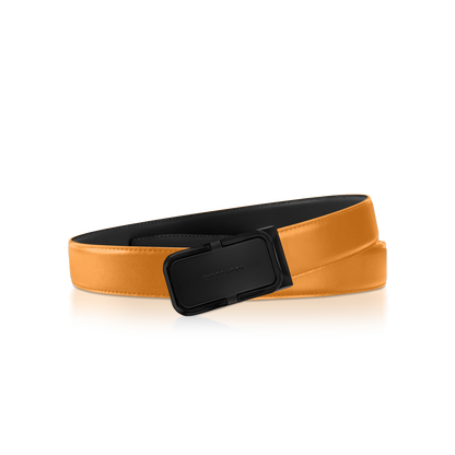 Reversible Belt